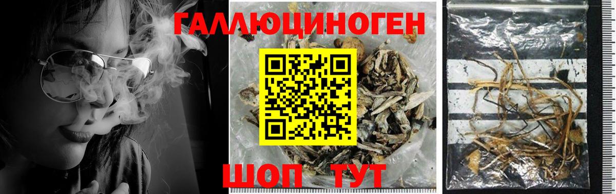 Галлюциногенные грибы ЛСД Клинцы
